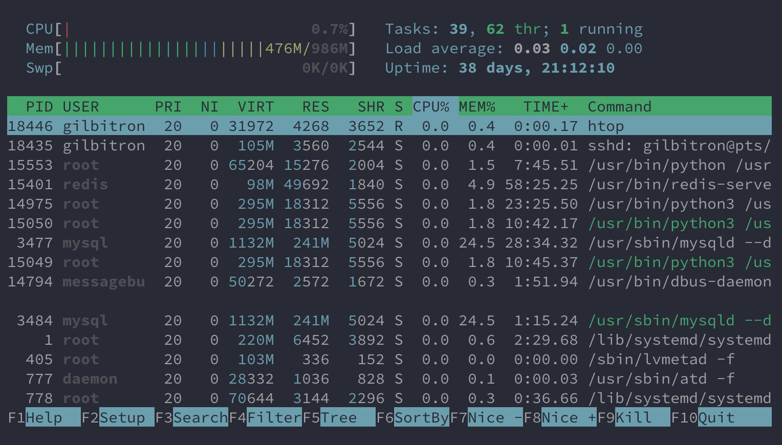 Using htop to check server usage