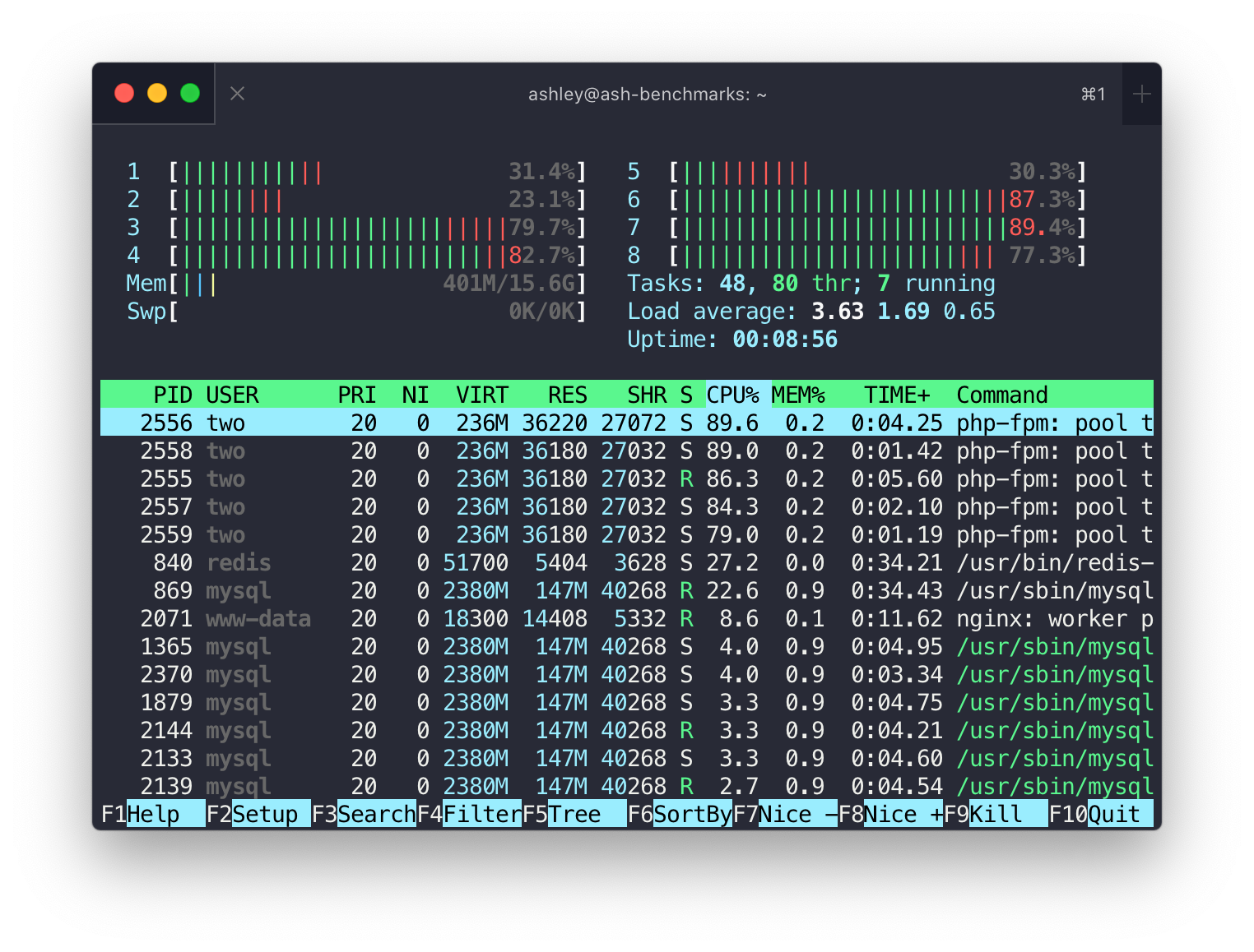 htop console output