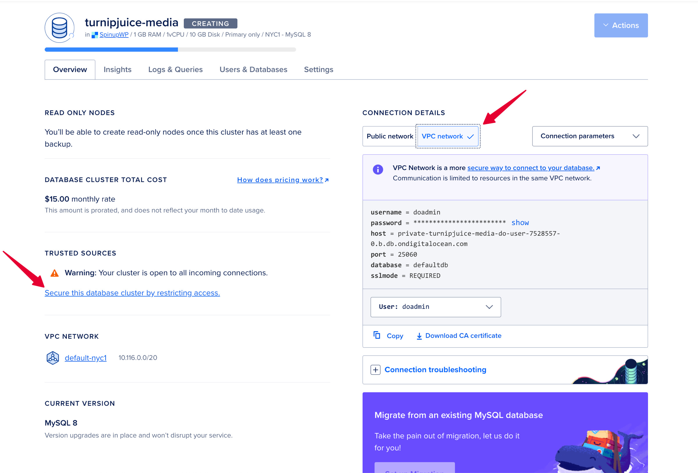 DigitalOcean database cluster overview.