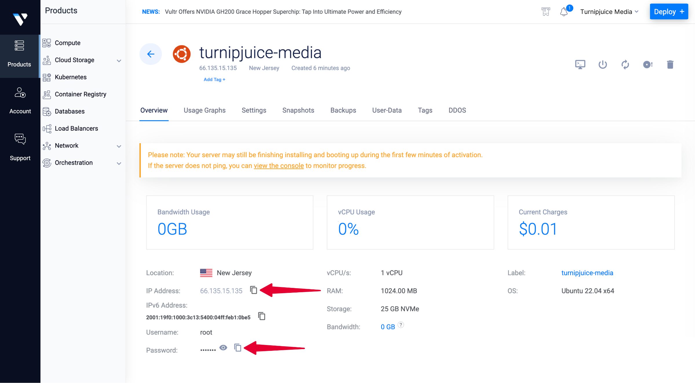 Vultr dashboard showing the IP address and root password