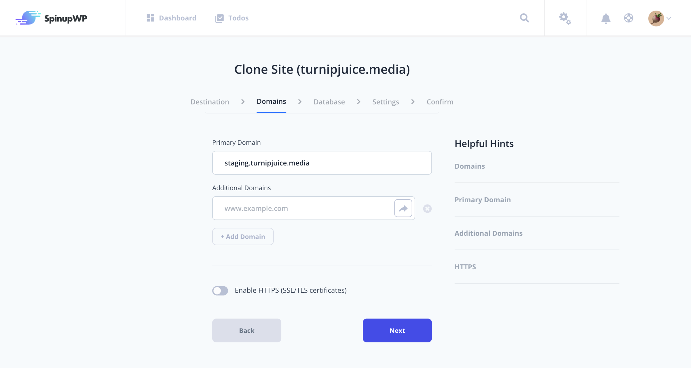 You can configure the new domain name, database, and site settings