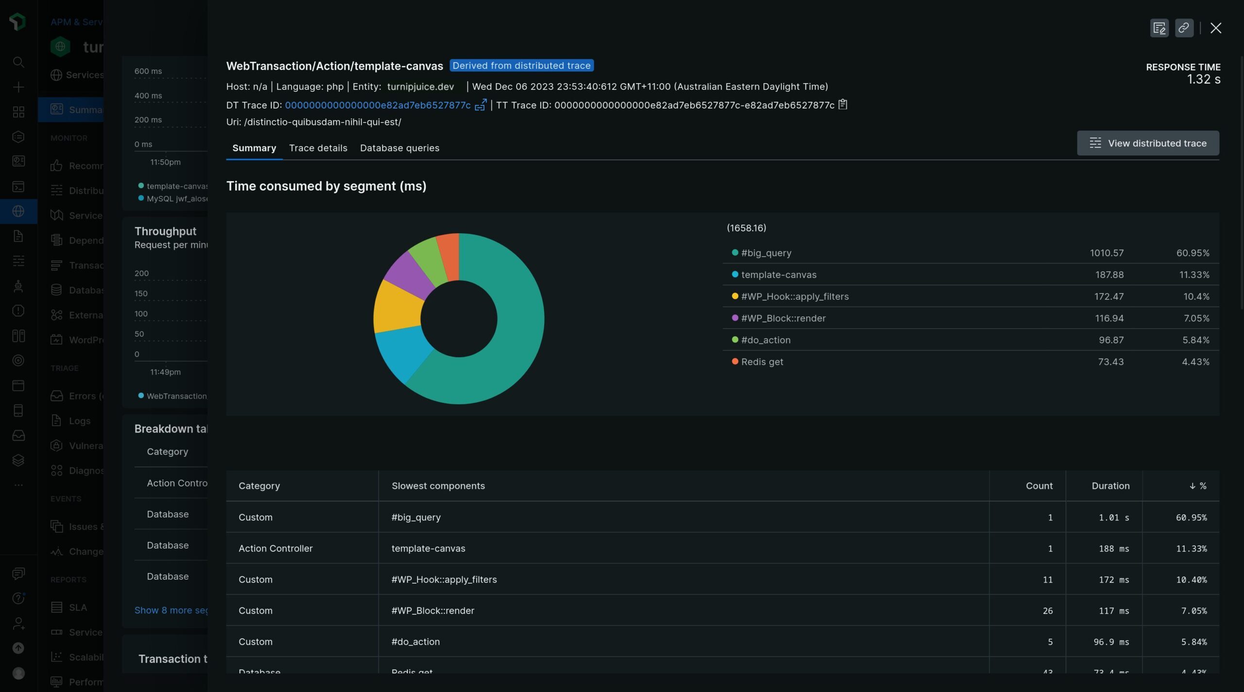 New Relic screen zoning in on a template-canvas transaction