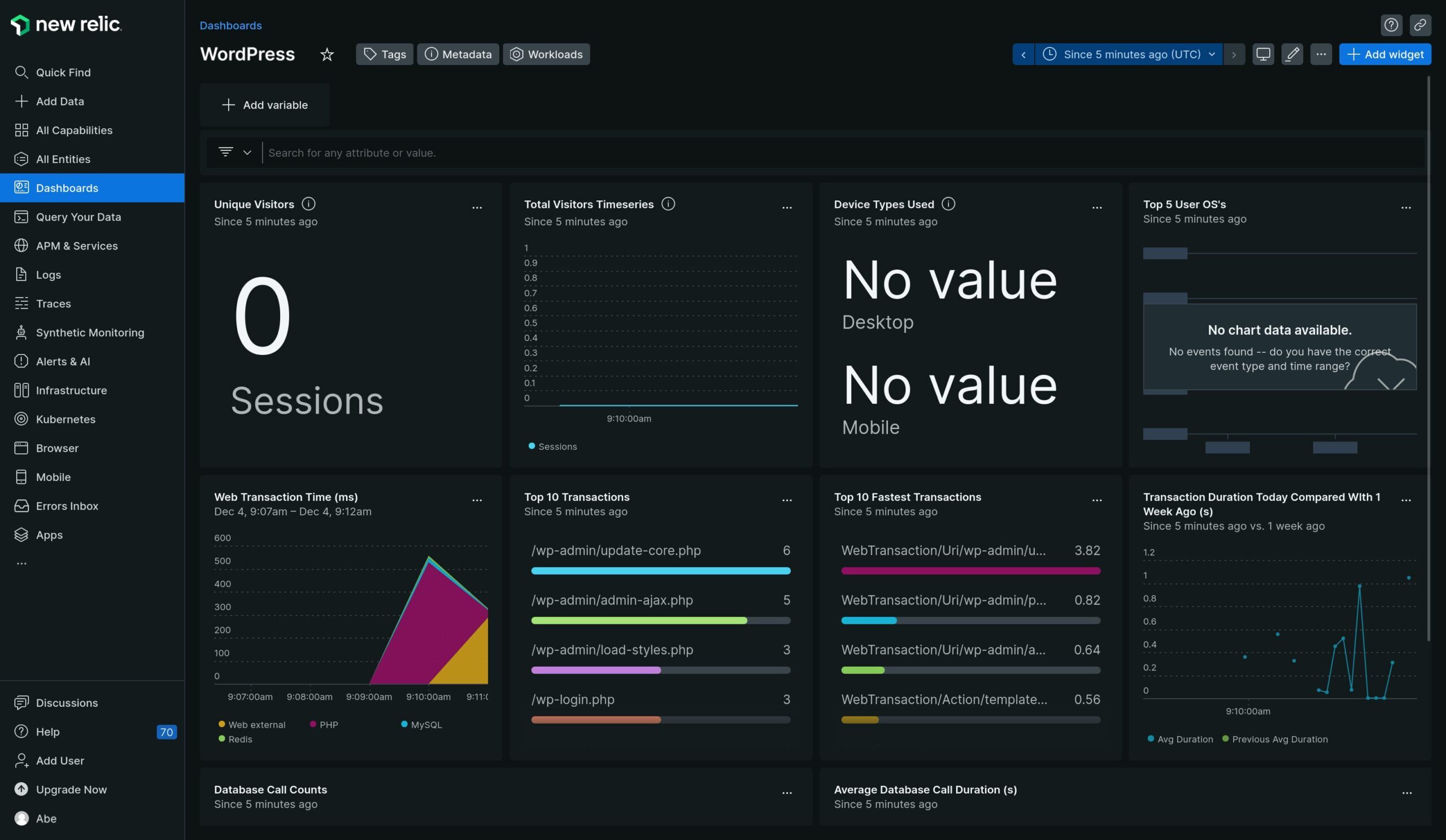 New Relic WordPress dashboard