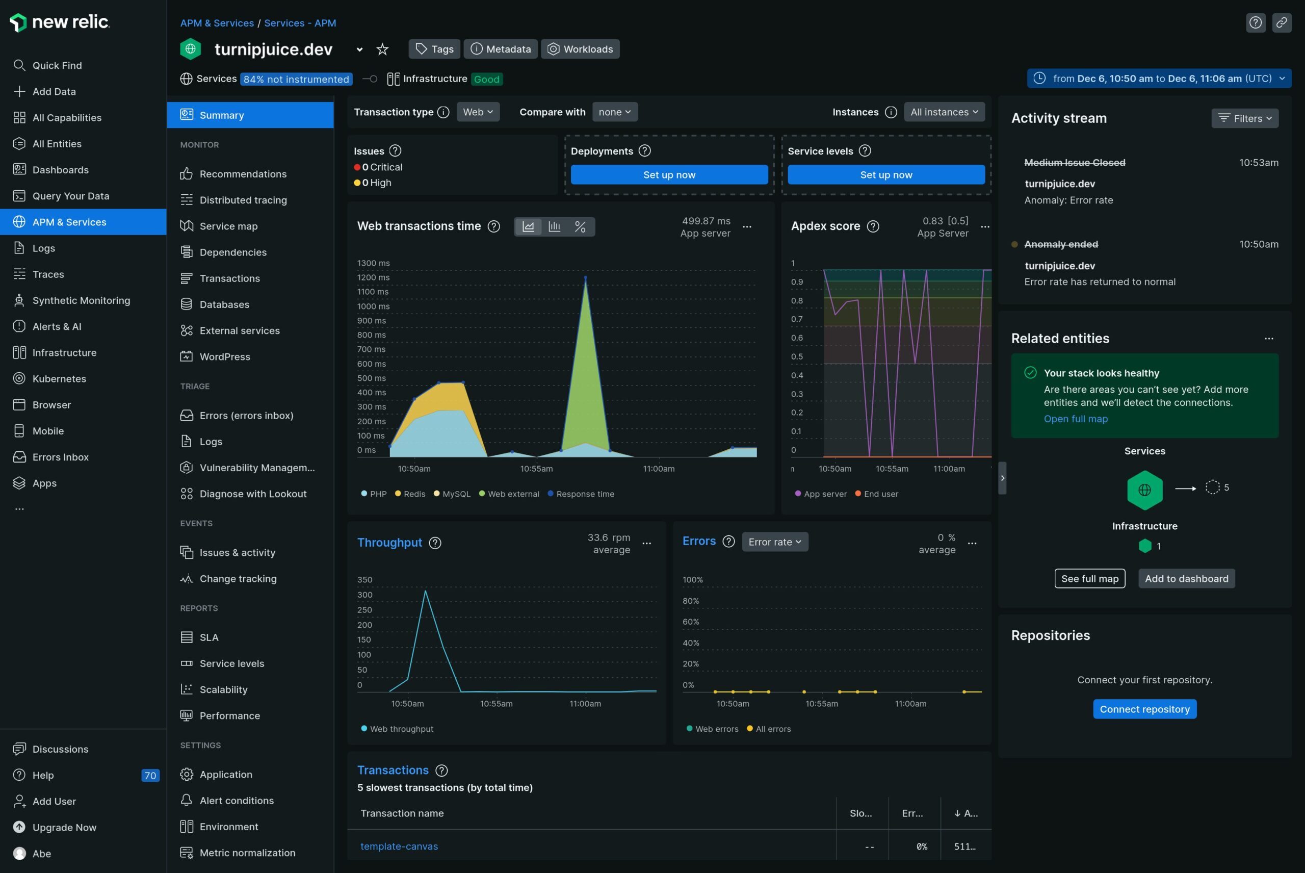 New Relic summary screen showing how your site is doing