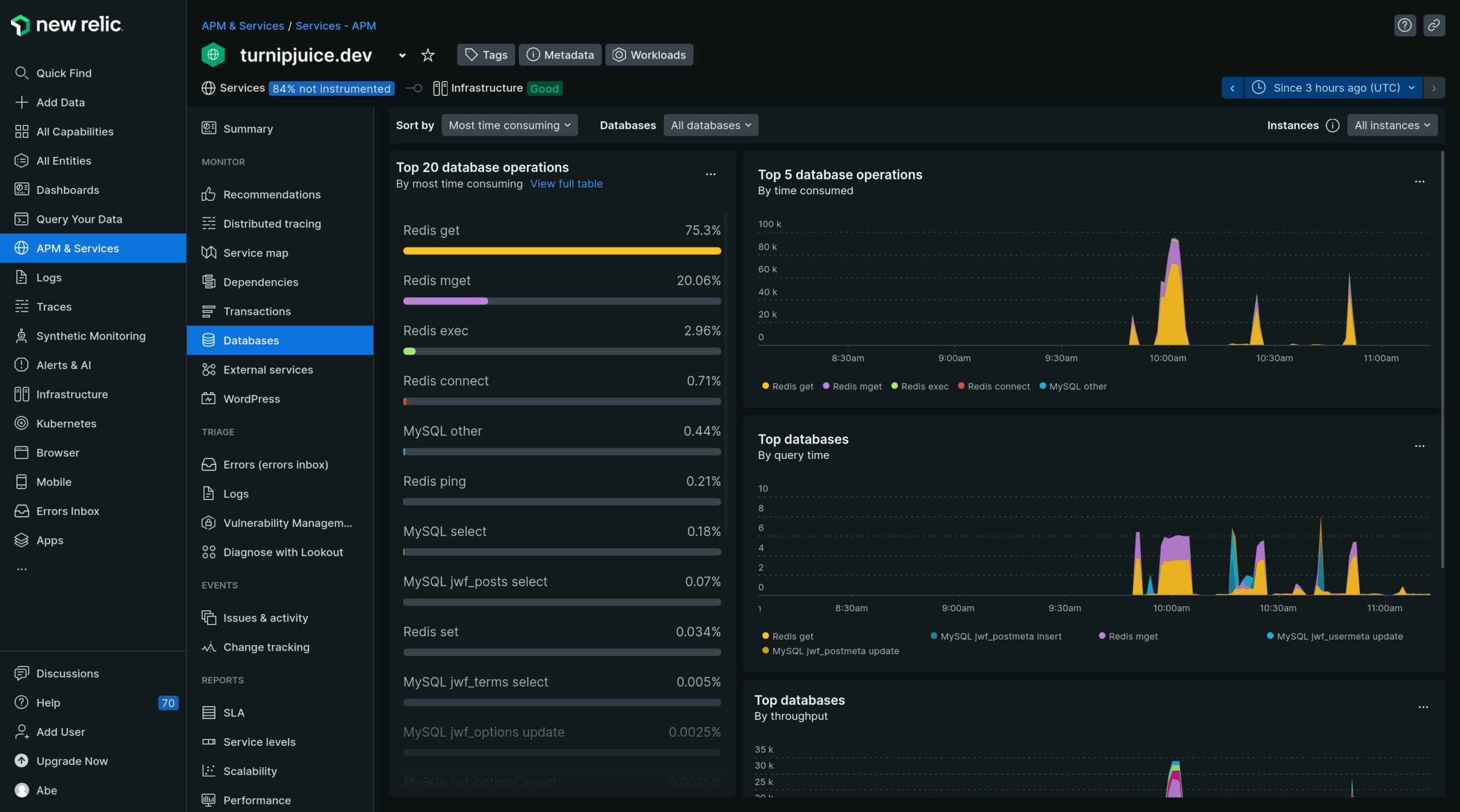 New Relic databases screen showing details about your relational database