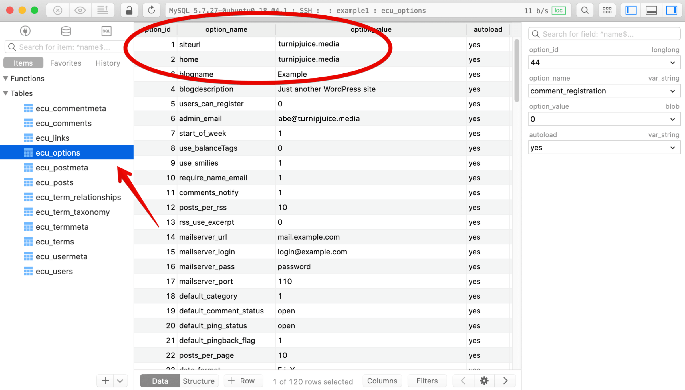 Update the options table manually