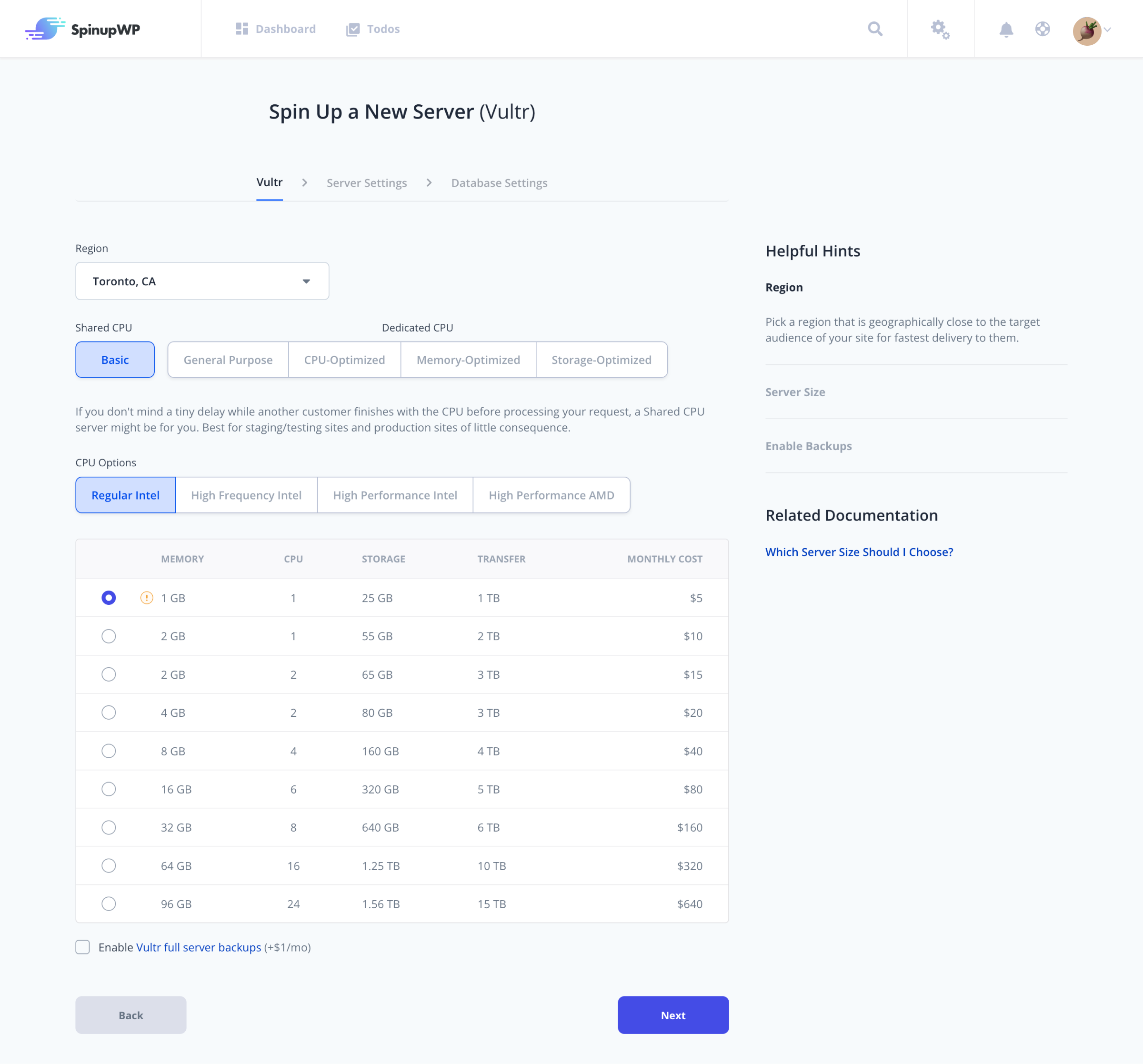 Select your Vultr region, CPU options, and server size.